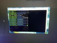 IMG_0788.jpeg